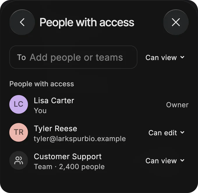 People with access: Tyler Reese can edit, Customer Support, 2,400 people, can view.