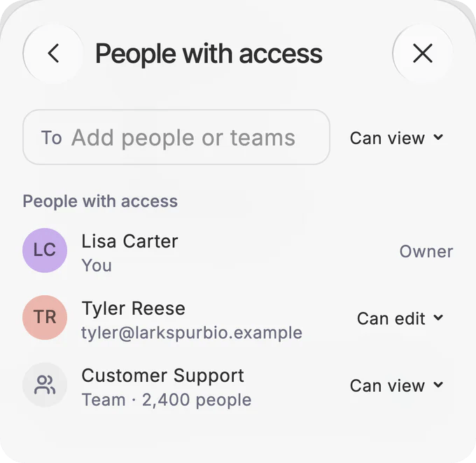 People with access: Tyler Reese can edit, Customer Support, 2,400 people, can view.