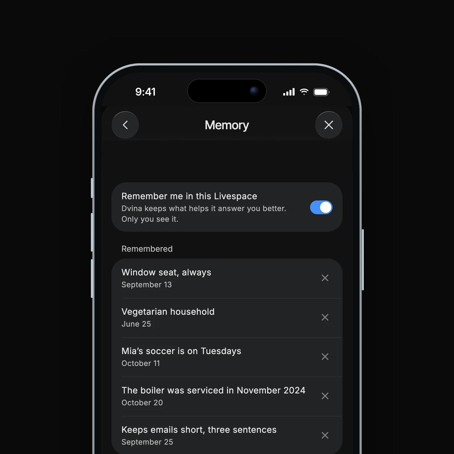 Settings › Memory on an iPhone: what Dvina remembers, window seat always, vegetarian household, Mia’s soccer on Tuesdays, the boiler serviced in November 2024, each with a way to forget it.