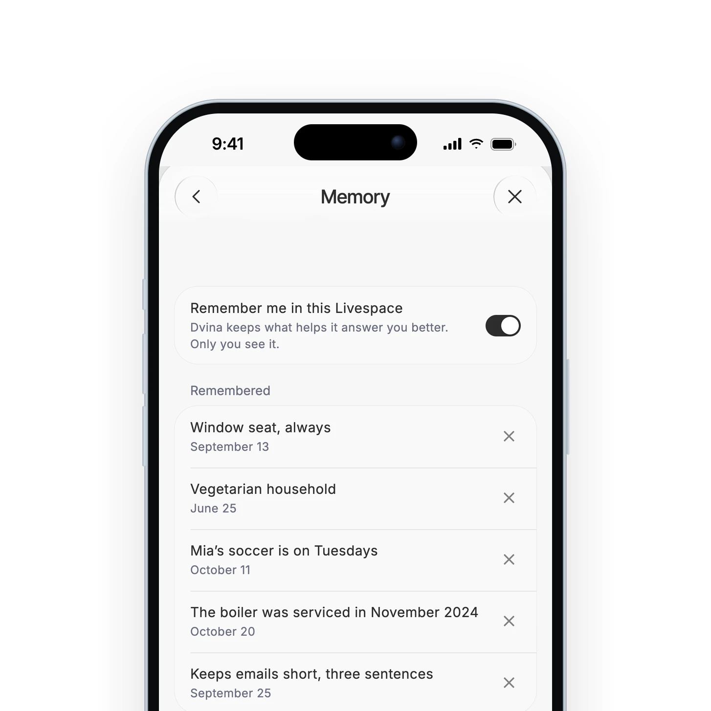 Settings › Memory on an iPhone: what Dvina remembers, window seat always, vegetarian household, Mia’s soccer on Tuesdays, the boiler serviced in November 2024, each with a way to forget it.