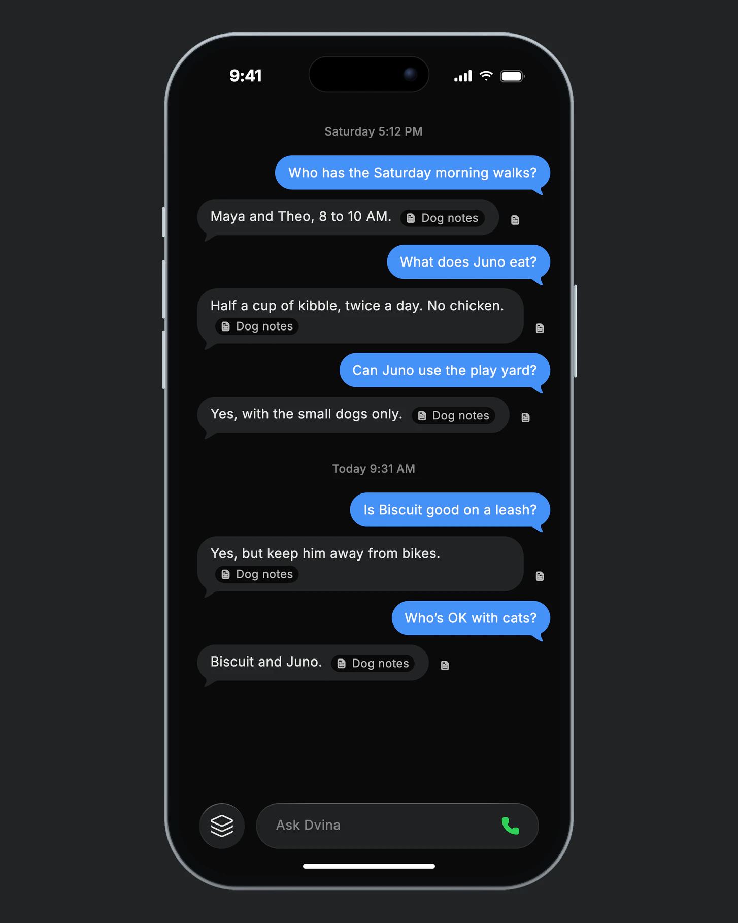 Dvina on an iPhone: a shelter volunteer’s questions about the dogs, each answered from the Dog notes; the last asks who’s OK with cats, and Dvina answers Biscuit and Juno.