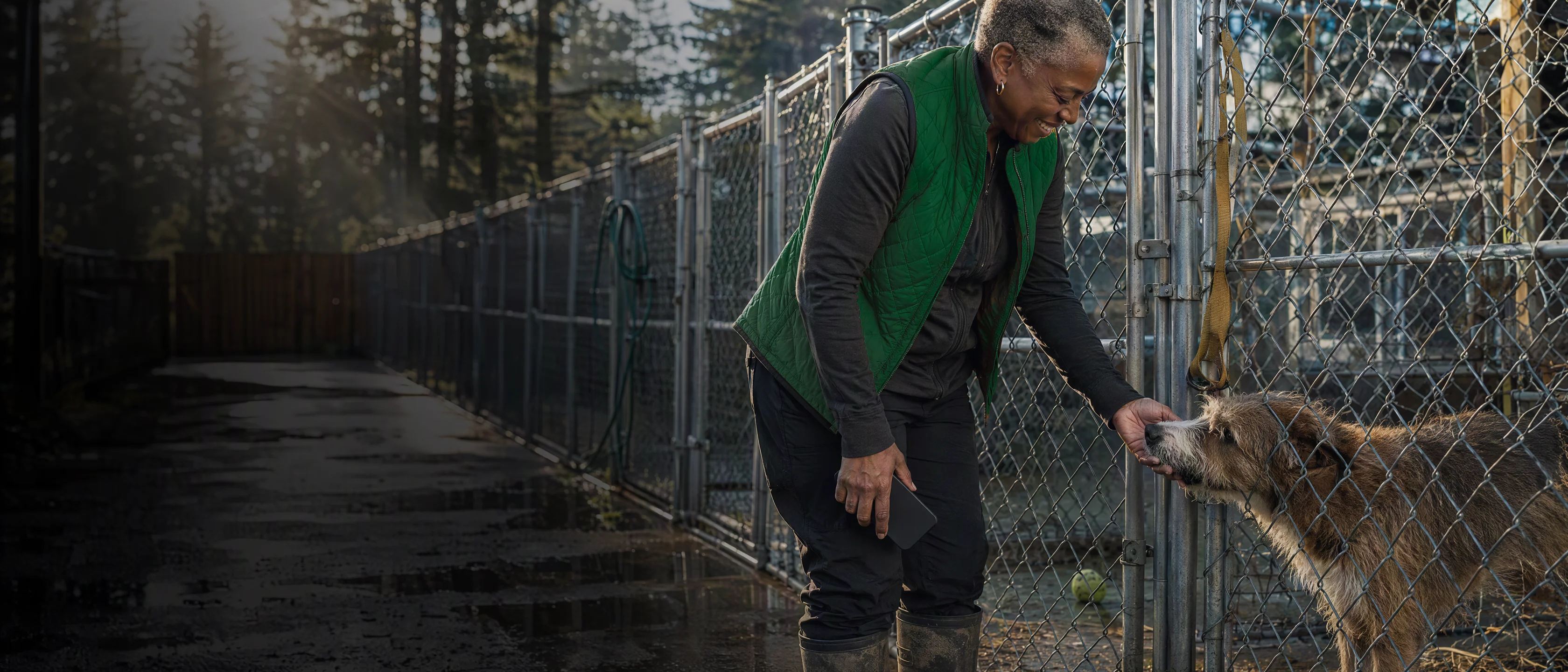 Seven in the morning at an animal shelter: the director, in a green quilted vest, laughs as a shaggy dog pushes its nose through the kennel fence to her hand.