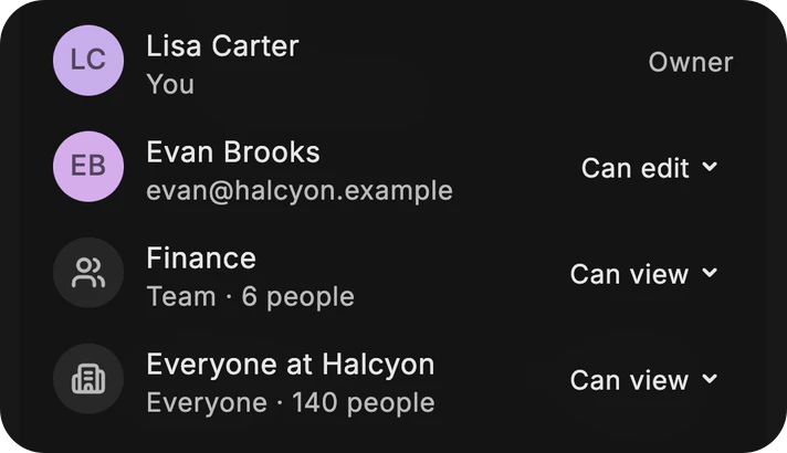 Dvina’s People with access: Lisa Carter the owner, Evan Brooks who can edit, the Finance team of six and everyone at Halcyon, who can view.